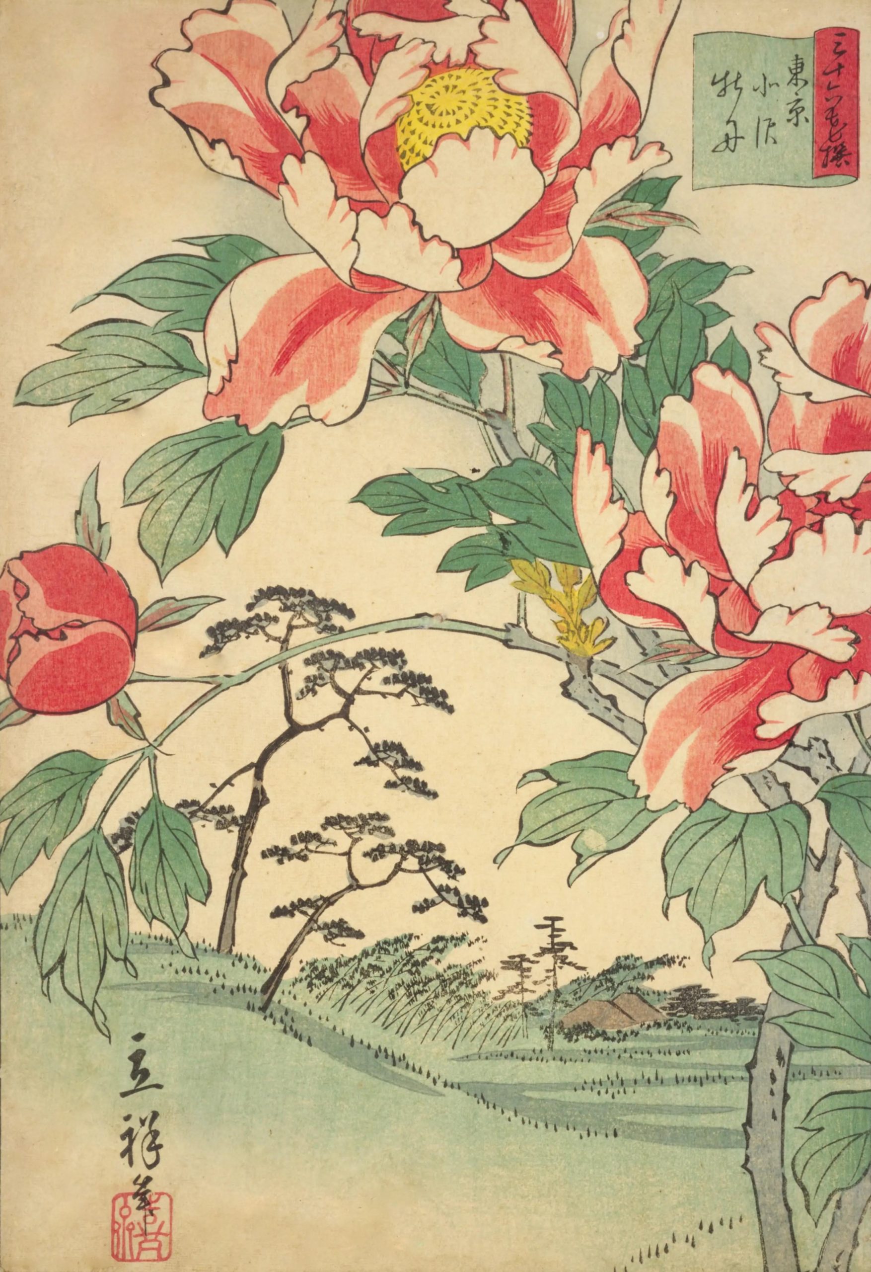 浮世絵｜「東京北沢牡丹（三十六花撰）」二代目 歌川広重 | CanappeDesign